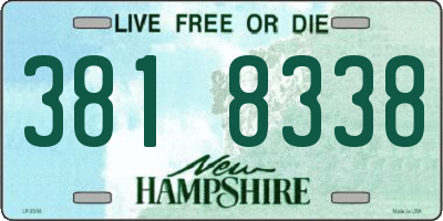 NH license plate 3818338