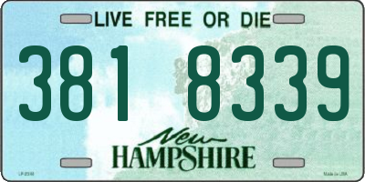 NH license plate 3818339