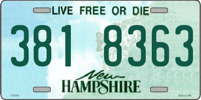 NH license plate 3818363