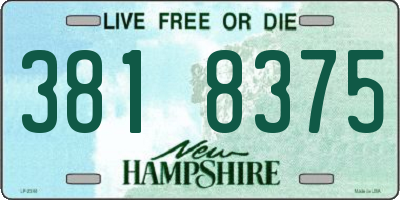 NH license plate 3818375