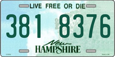 NH license plate 3818376