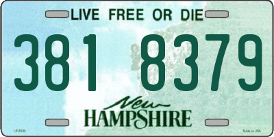 NH license plate 3818379