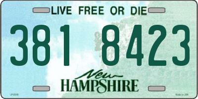 NH license plate 3818423