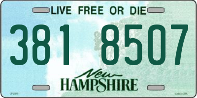 NH license plate 3818507