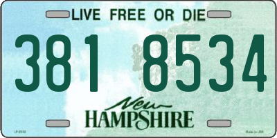 NH license plate 3818534