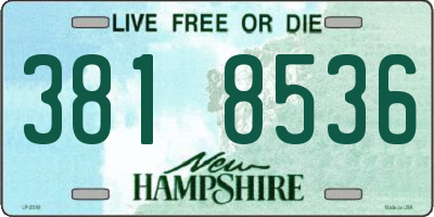 NH license plate 3818536
