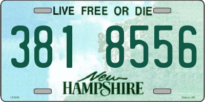 NH license plate 3818556