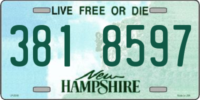 NH license plate 3818597