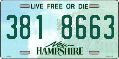 NH license plate 3818663