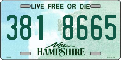 NH license plate 3818665