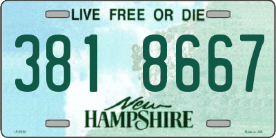 NH license plate 3818667