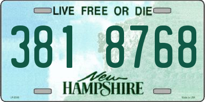 NH license plate 3818768