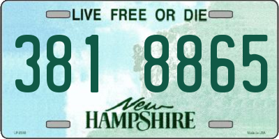 NH license plate 3818865
