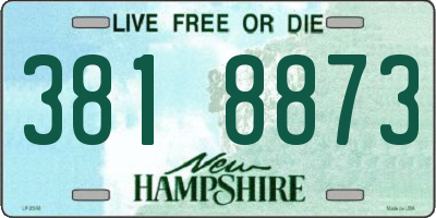 NH license plate 3818873