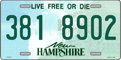NH license plate 3818902