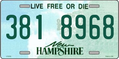 NH license plate 3818968