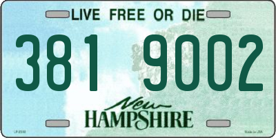 NH license plate 3819002