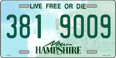 NH license plate 3819009