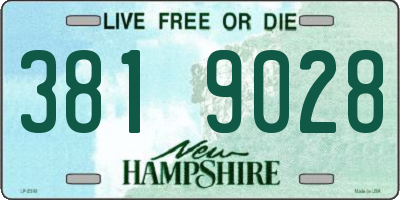 NH license plate 3819028