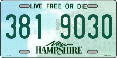 NH license plate 3819030