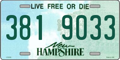 NH license plate 3819033