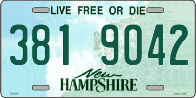 NH license plate 3819042