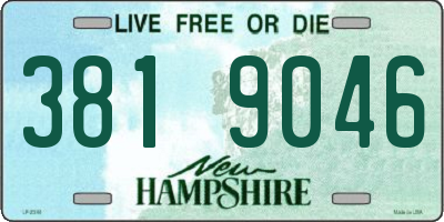 NH license plate 3819046