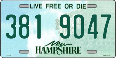 NH license plate 3819047