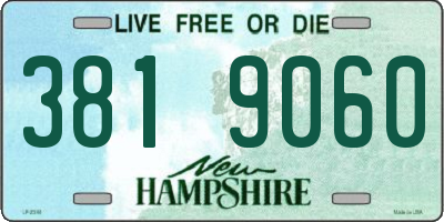 NH license plate 3819060