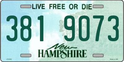 NH license plate 3819073