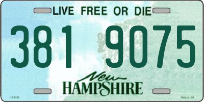 NH license plate 3819075