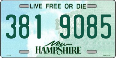 NH license plate 3819085