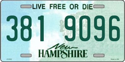 NH license plate 3819096