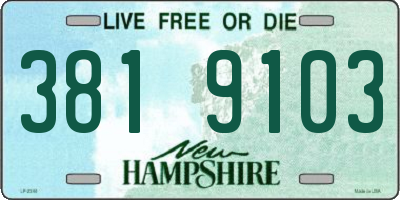 NH license plate 3819103
