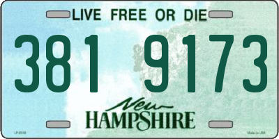 NH license plate 3819173
