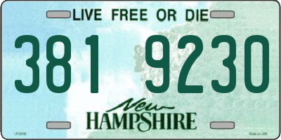 NH license plate 3819230