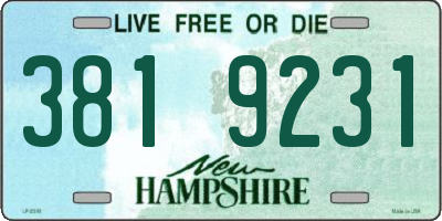 NH license plate 3819231