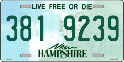 NH license plate 3819239