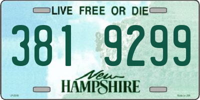 NH license plate 3819299