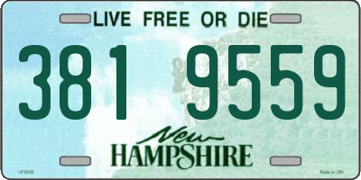 NH license plate 3819559