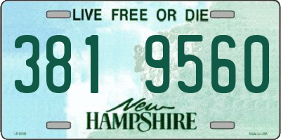 NH license plate 3819560