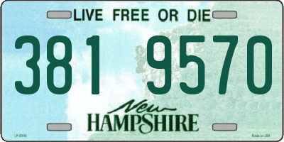 NH license plate 3819570