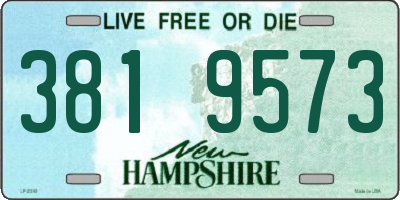NH license plate 3819573