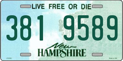 NH license plate 3819589