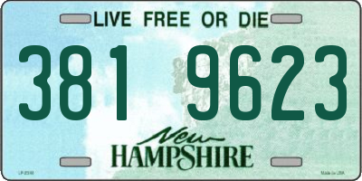 NH license plate 3819623