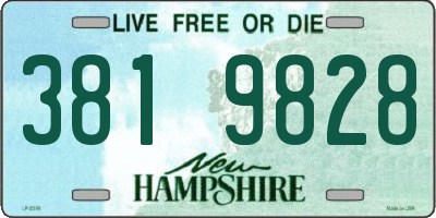 NH license plate 3819828