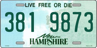NH license plate 3819873