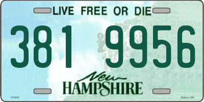 NH license plate 3819956