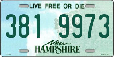 NH license plate 3819973