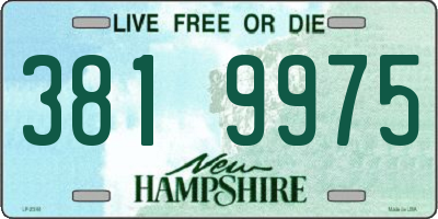 NH license plate 3819975